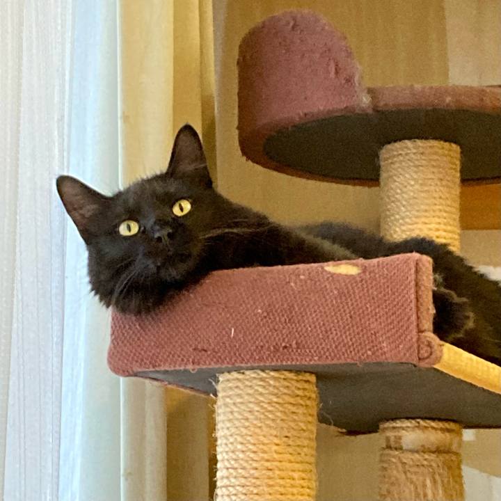 1f70f524 6a21 424d 8ba4 8c7f75887828 1724651235824