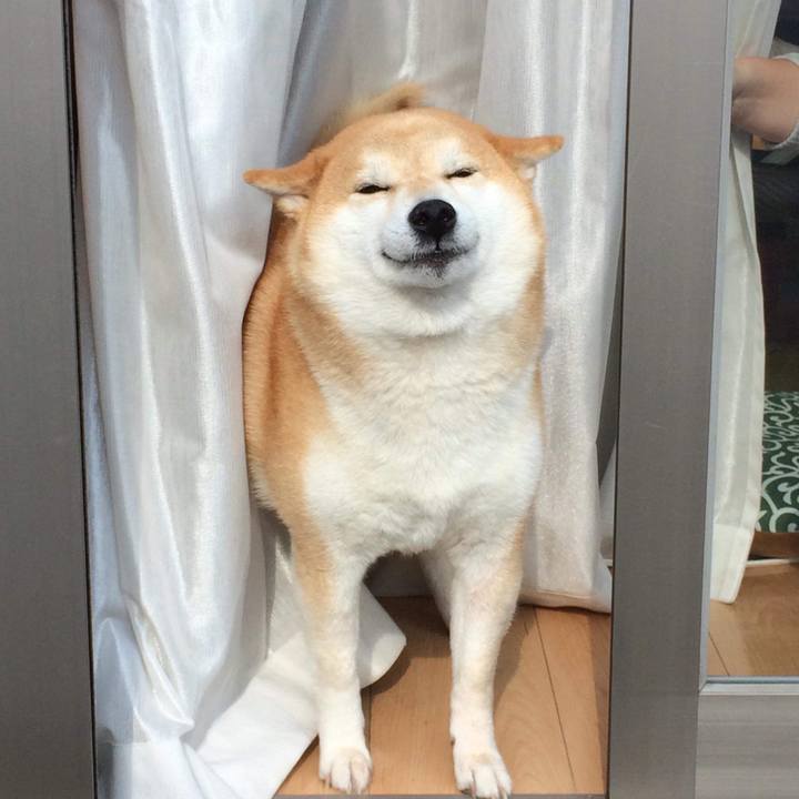 1f70fdb8 9455 468a bfb8 89f484e643ba 1548321741770