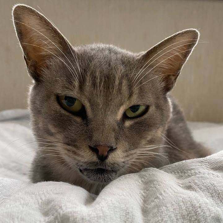 1f7141fa a200 41af af57 1c7a40e663b5 1600848364101