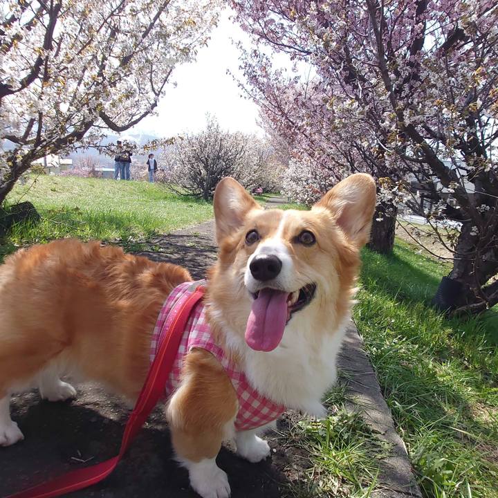 1f719150 28d1 4095 8d9b 54c2d6e4869c 1777195694766