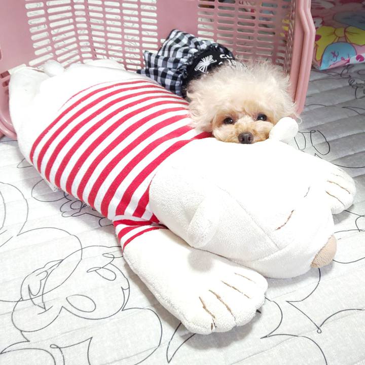 1f71c4bc 11e9 478d 9d12 c2a0b7e0c616 1568796321030