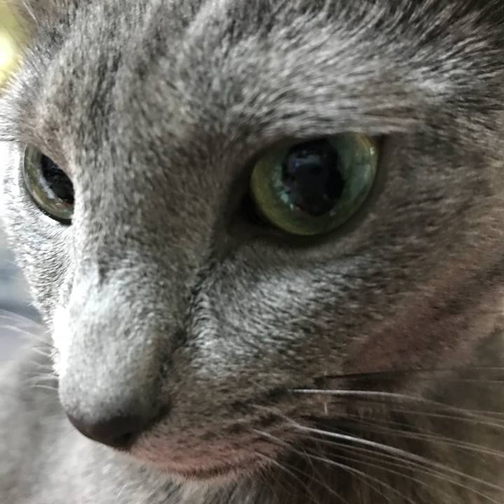 1f71cb76 e670 43d8 b9ef a986d2b215eb 1513375484558