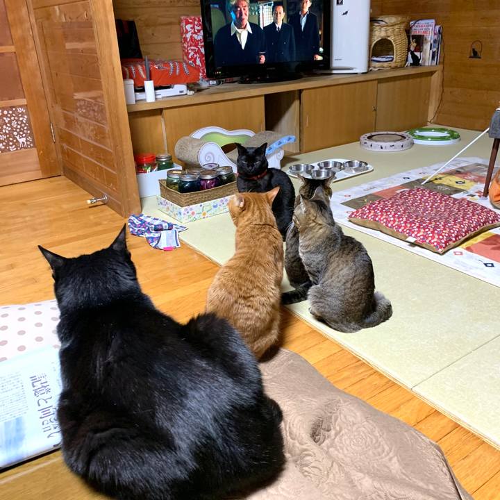 1f71f994 c7f2 4d78 98f9 8a5cccfe2902 1583930943813