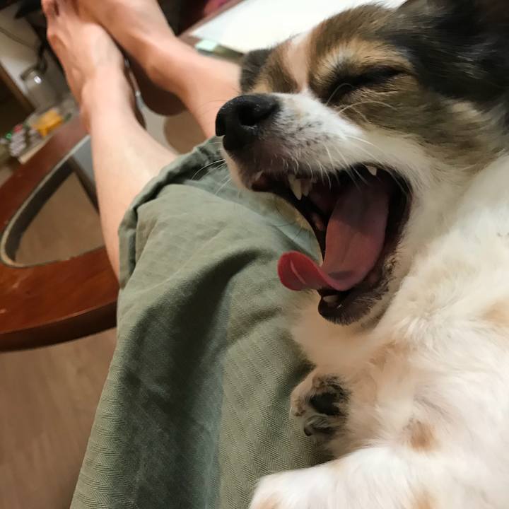 1f72016e f3ef 4332 8ed5 f76bdf6fd1d7 1538224383932