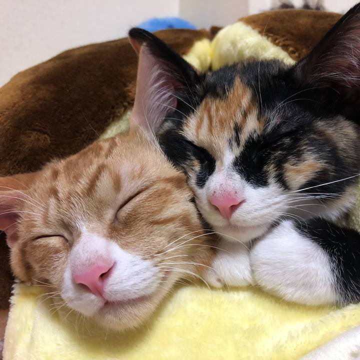 1f72145d 77af 4f4d 9956 bba4f9955eea 1550801755170