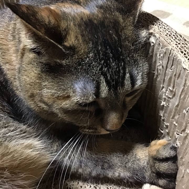 1f72bb60 0bc9 4d6f 83d1 63d925d462c5 1731576340089