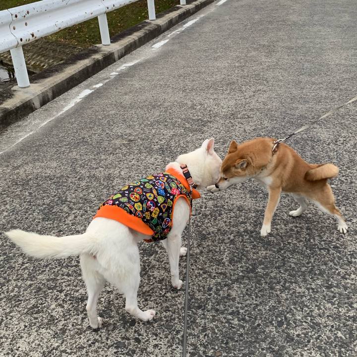 1f72ef51 603f 49ea 8bd2 9328d7319d27 1576369368747