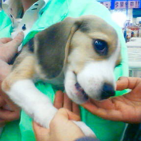 1f72f1b7 0a6c 4403 a0f3 00c0ecba431d 1675643822585