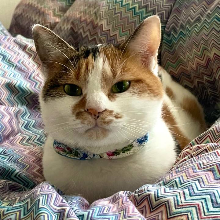 1f730dfe 2d88 4ae8 87ec a1ca914ac5e5 1700782637737