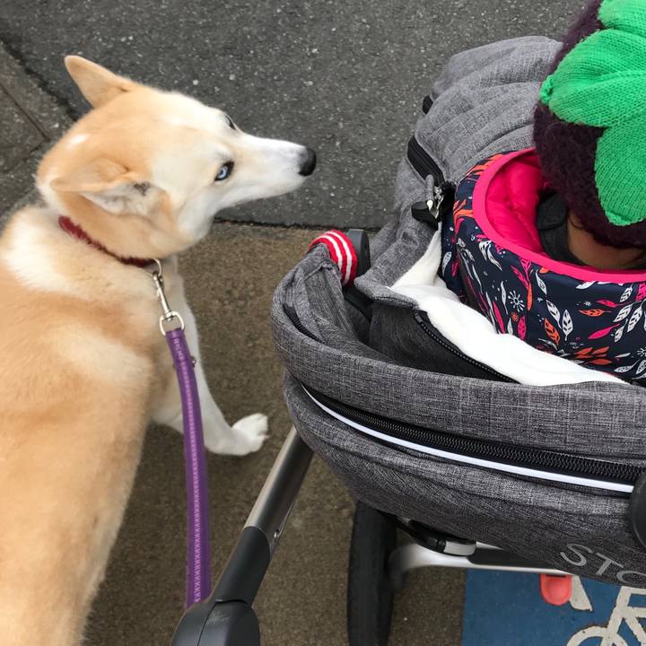 1f7311d6 4ea0 4104 af88 6cbefaee6ab9 1516418003176