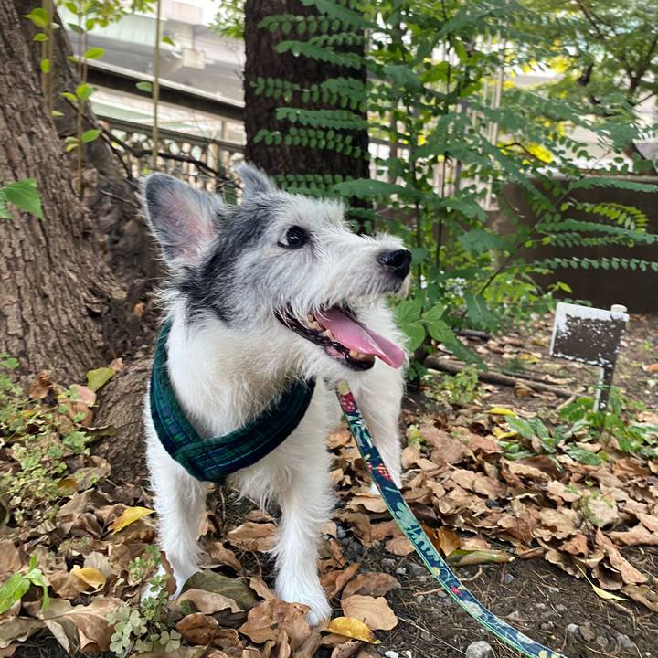 1f73405d a872 40b2 9a27 78a1ba582764 1597561639617