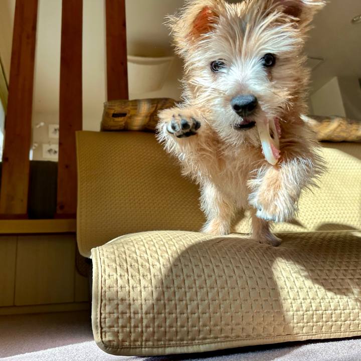 1f7359b2 7c1b 4527 873b daed5a1f46ab 1703164781445