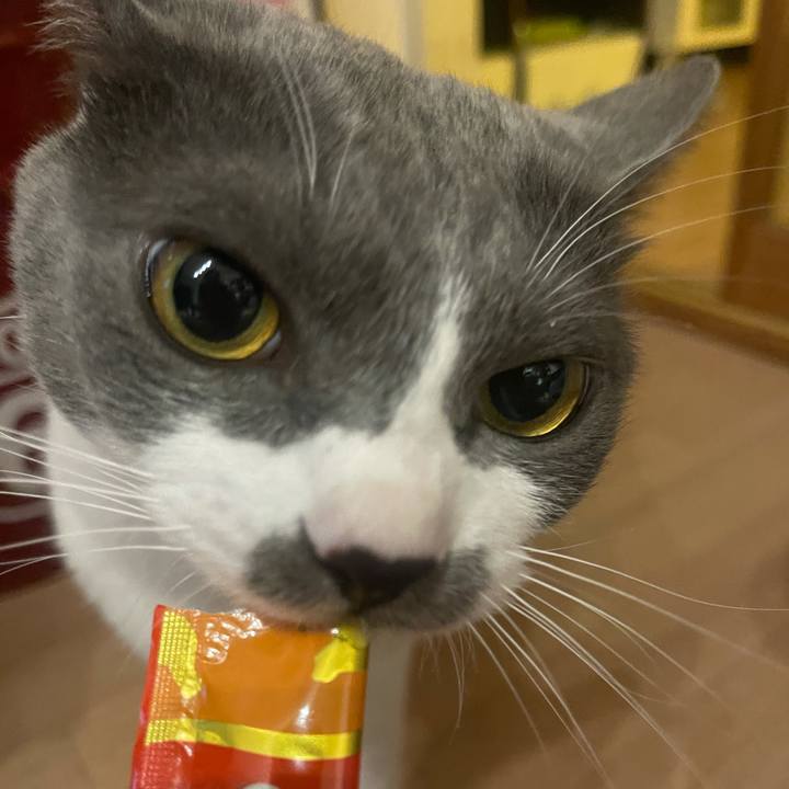 1f7415d3 7b22 4742 9f2d c85ef0a937cb 1631004065728