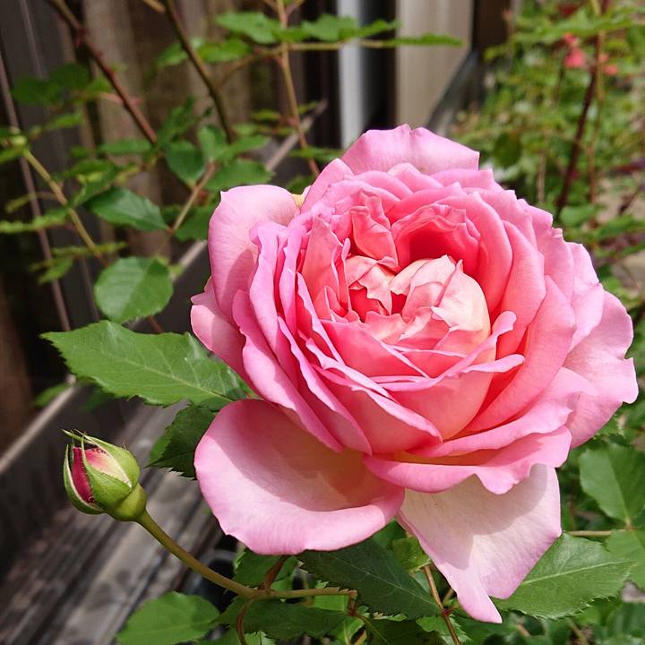 1f744594 1fd4 49ef 9190 f2672de1fde6 1651970799867