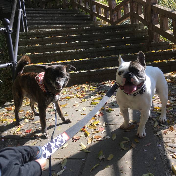 1f747a73 98d4 421b 8eae ecc15a9e2c4d 1554709762948