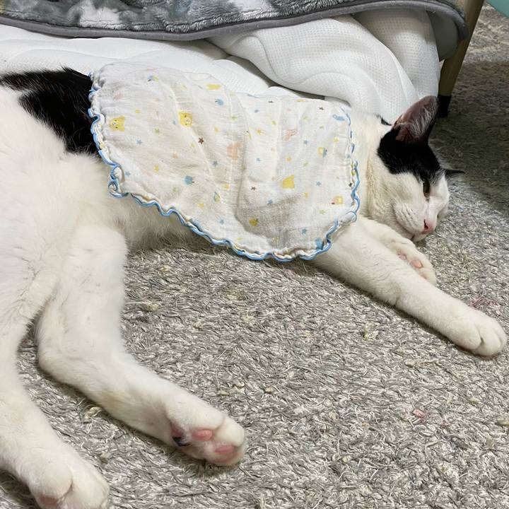 1f74c257 e27d 4124 b2d6 a8f9a5b35ea4 1652084190236