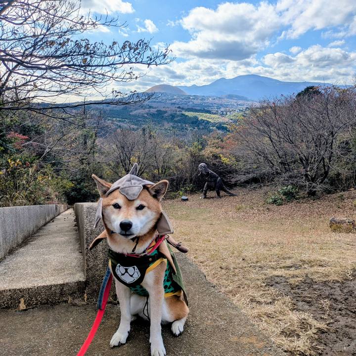 1f74fd8a 261c 4803 a489 1fca8506da09 1766120168885