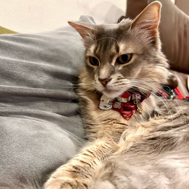 1f7524c8 14f9 475f 8976 ba3e2291ead3 1773838849665