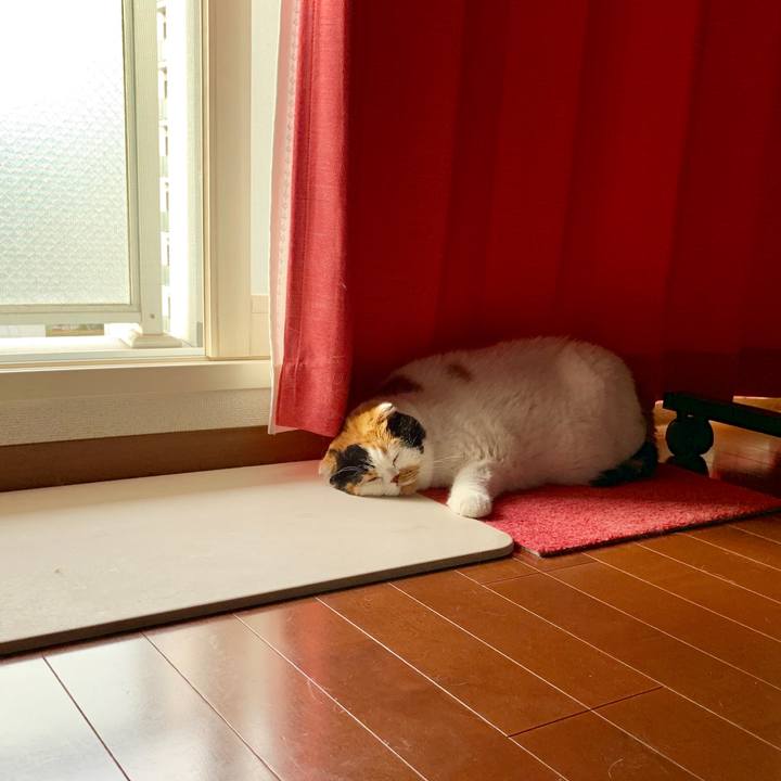 1f7532b3 5b2d 4cf3 ab9e 35a0d84bde0b 1565039854388