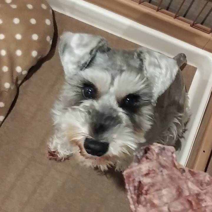 1f753990 6cf0 47e8 bc70 d8904821d831 1548753728456