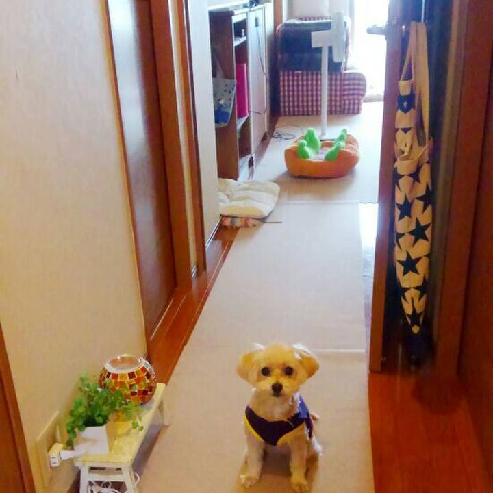 1f756b78 2812 437a 96a3 904cd325f6db 1529563231546