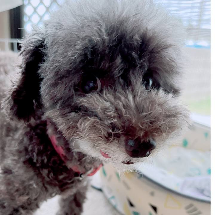 1f758060 840f 4586 b13e 126d1d896046 1695161119318