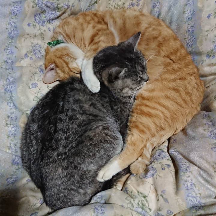 1f75a578 3324 4e3c 917c 1227db007dba 1582027697432