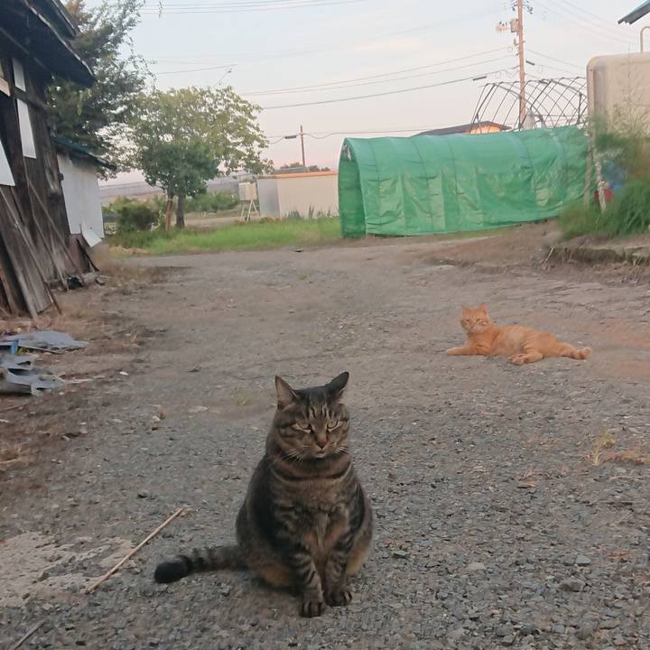 1f75db93 0b8e 400d a919 57d27dd2a959 1663148378616