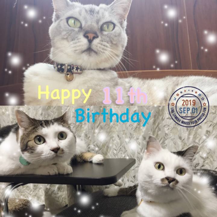 1f75f4e7 73ea 4b35 87ec efd2c43b1833 1567403154709