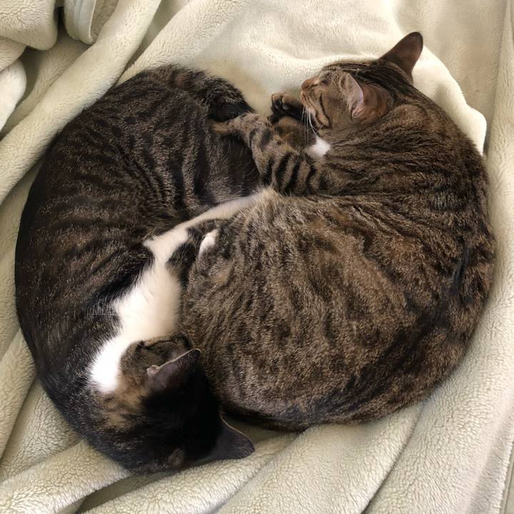 1f767515 2e70 4700 80f5 df02efadcd25 1529262195304