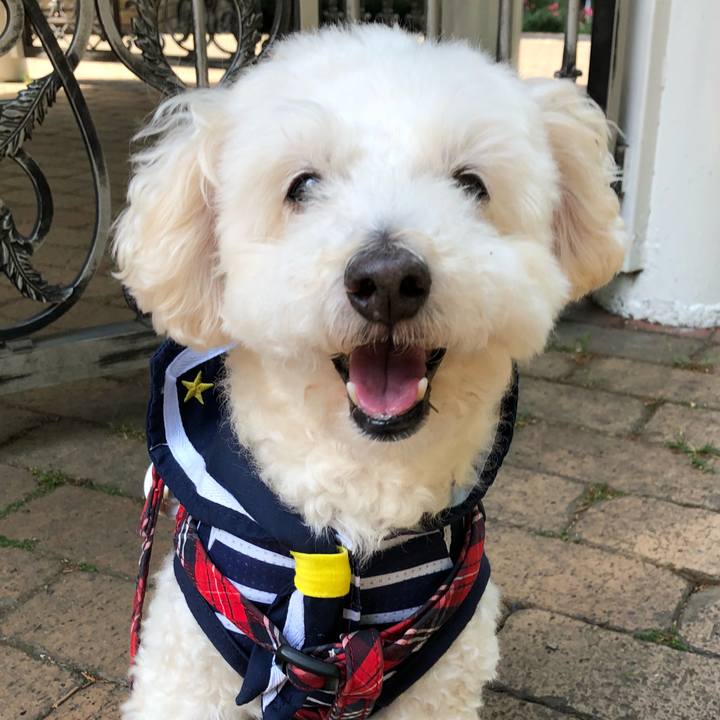 1f76900b eaa3 46db bbf1 4b59a4233d19 1528558677067