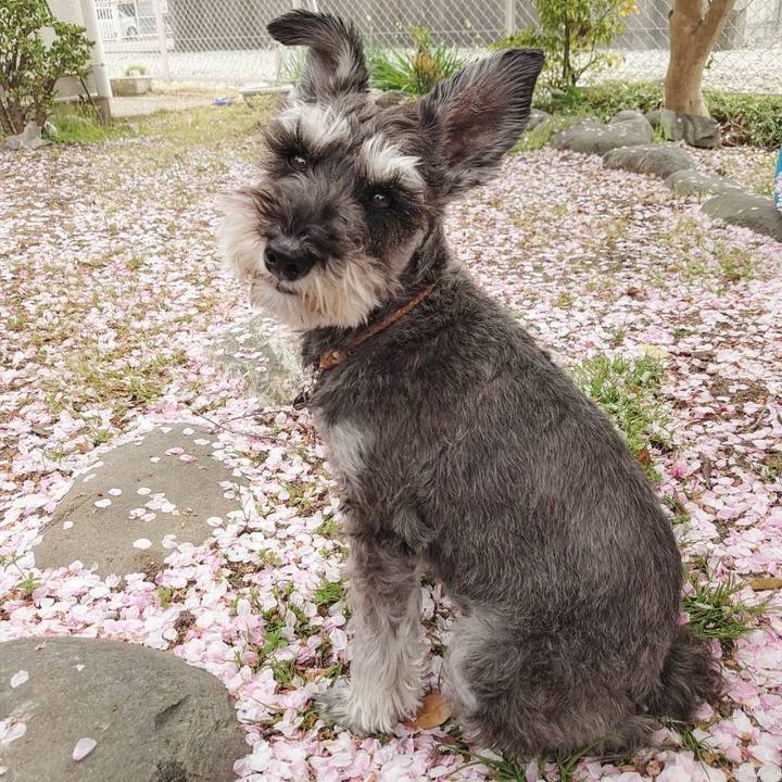 1f769696 e563 47d3 a4b8 5d1f0faecedb 1662033538748