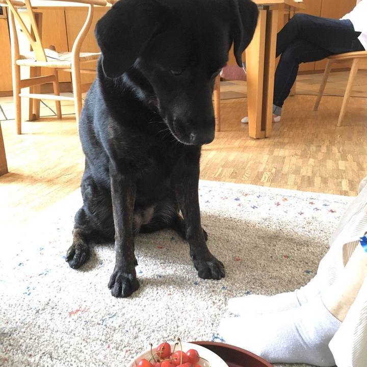 1f769e8d 46a6 4fb6 8016 1143f7420568 1625402562286