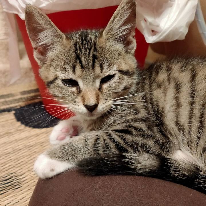 1f76bd92 ed02 4525 ba37 bb9c2b6ad572 1625228968335