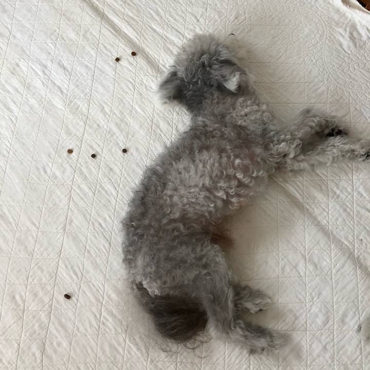 1f76ce8e d2aa 4bc3 8e1a f4855218c3eb 1595550478570