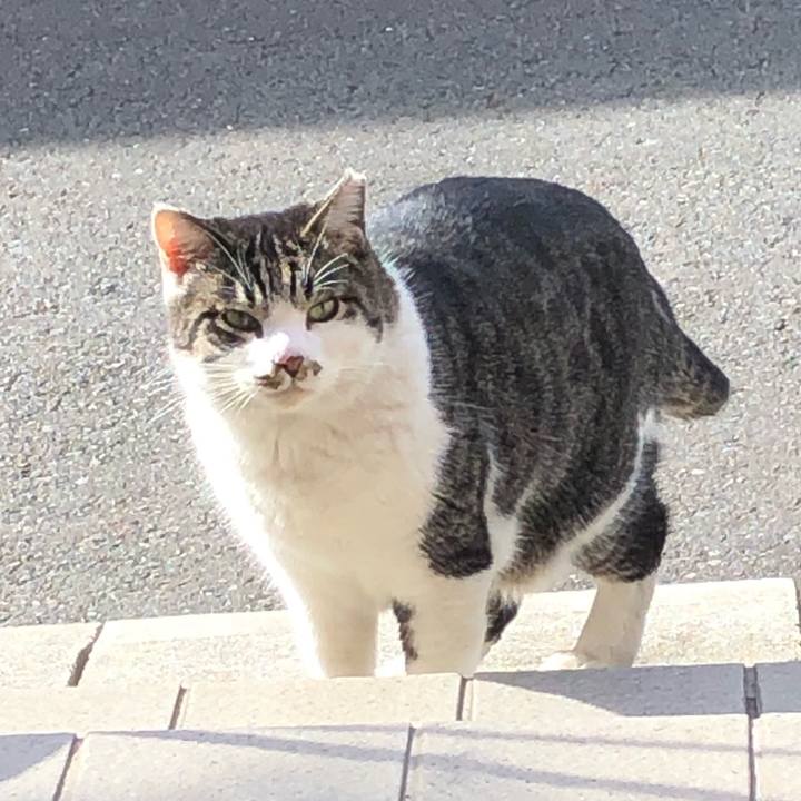 1f76eb86 7b1a 4d0d a380 36b73b97a75a 1614950351641