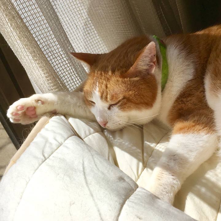 1f76ff25 f7b5 4764 811d a24dfbc1a4de 1554846637142