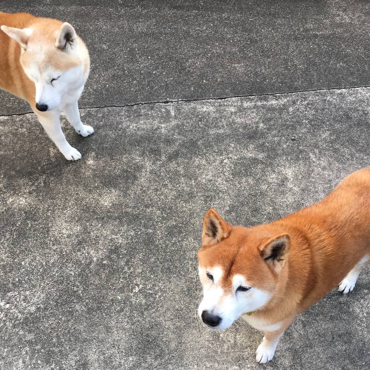 1f7728a9 0bc5 4f32 a0a6 cce55ddd17cc 1511593342585