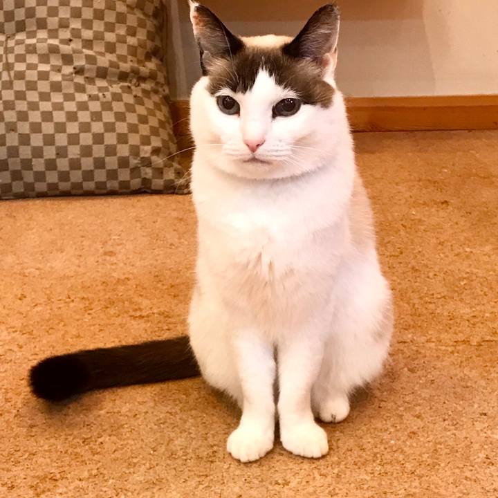 1f772ba7 8963 4ee3 b805 190a434eaaca 1579156057129