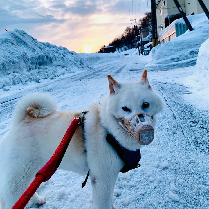 1f7732d6 101b 4d7a 9a16 27ca0728e877 1646689815592