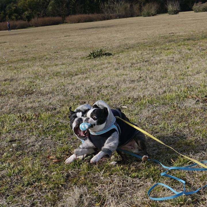 1f77a441 849f 405f b2a2 06b7f606b3a8 1518426805040