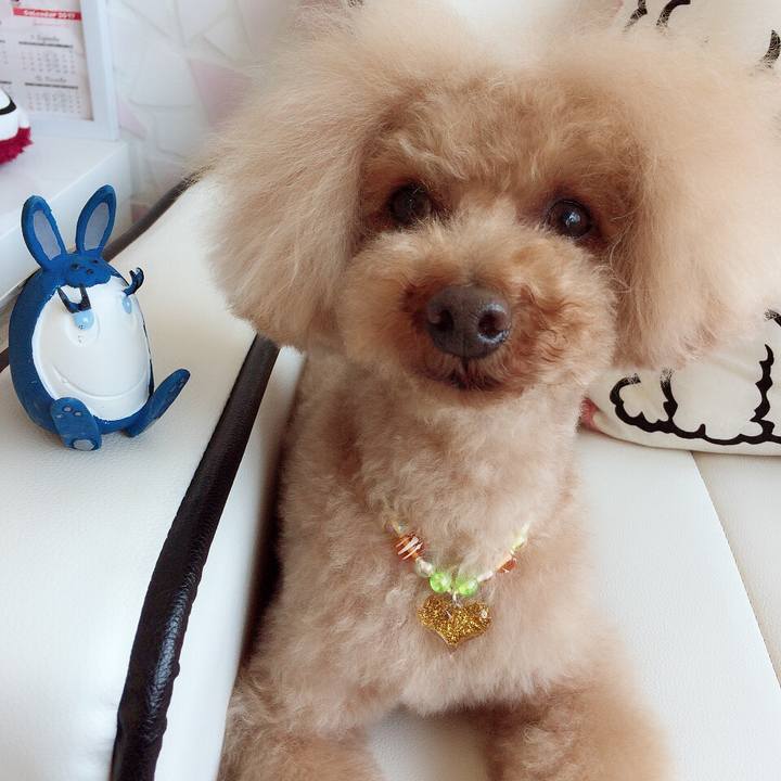 1f77da3e eb73 4484 a16a 3746775feaf2 1524379814880