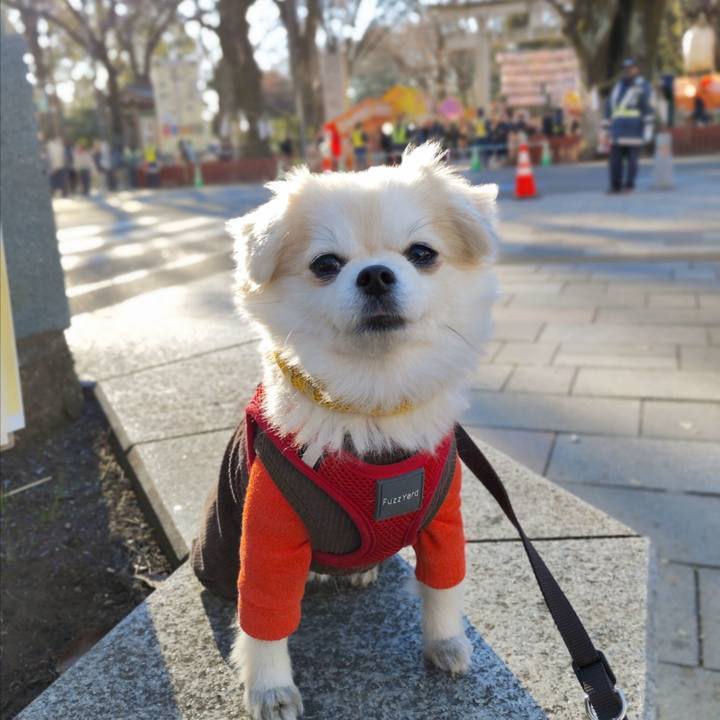 1f77ddfb 4b09 4c1a 9408 23dc50af755e 1735828028179