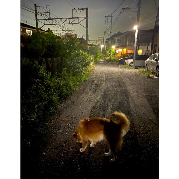 1f785d73 6859 4acb 8f6f 1ad5b8a1ef34 1758201327527