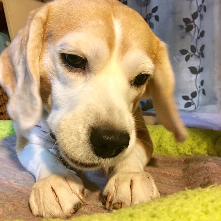 1f786b22 33e7 4332 a374 92b24c9e0efa 1555854999458