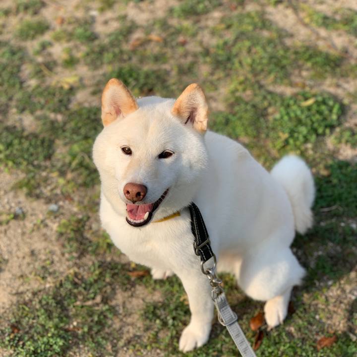 1f789a03 8eee 4fff ba03 15561e5d1735 1554710094525