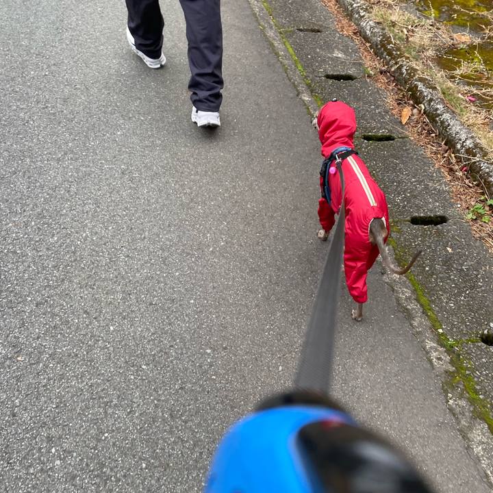 1f78ac3a a82c 4d1a 99f2 c5a563f5ddf7 1766825378381