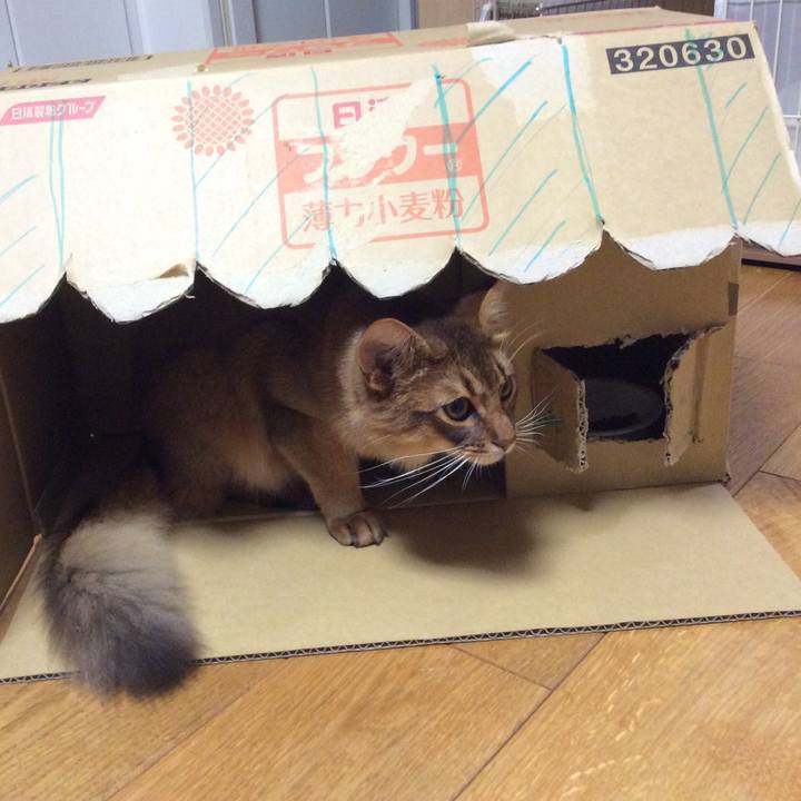 1f78beee 9f72 46c5 b9ba 5766468a0684 1589001998948