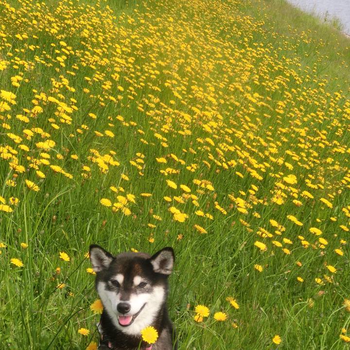 1f78edee 3b3f 4a6b 82bd d938e737921f 1527468085901