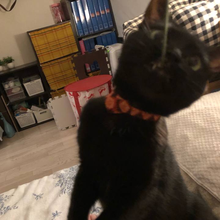 1f78f118 32d5 48cb 88ae 28a1d4c422e4 1555239756250